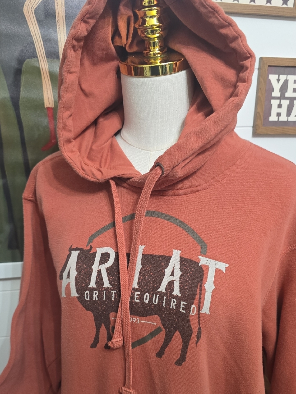 Ariat Rust Orange Pullover Hoodie Xl Womens - Picture 2 of 3